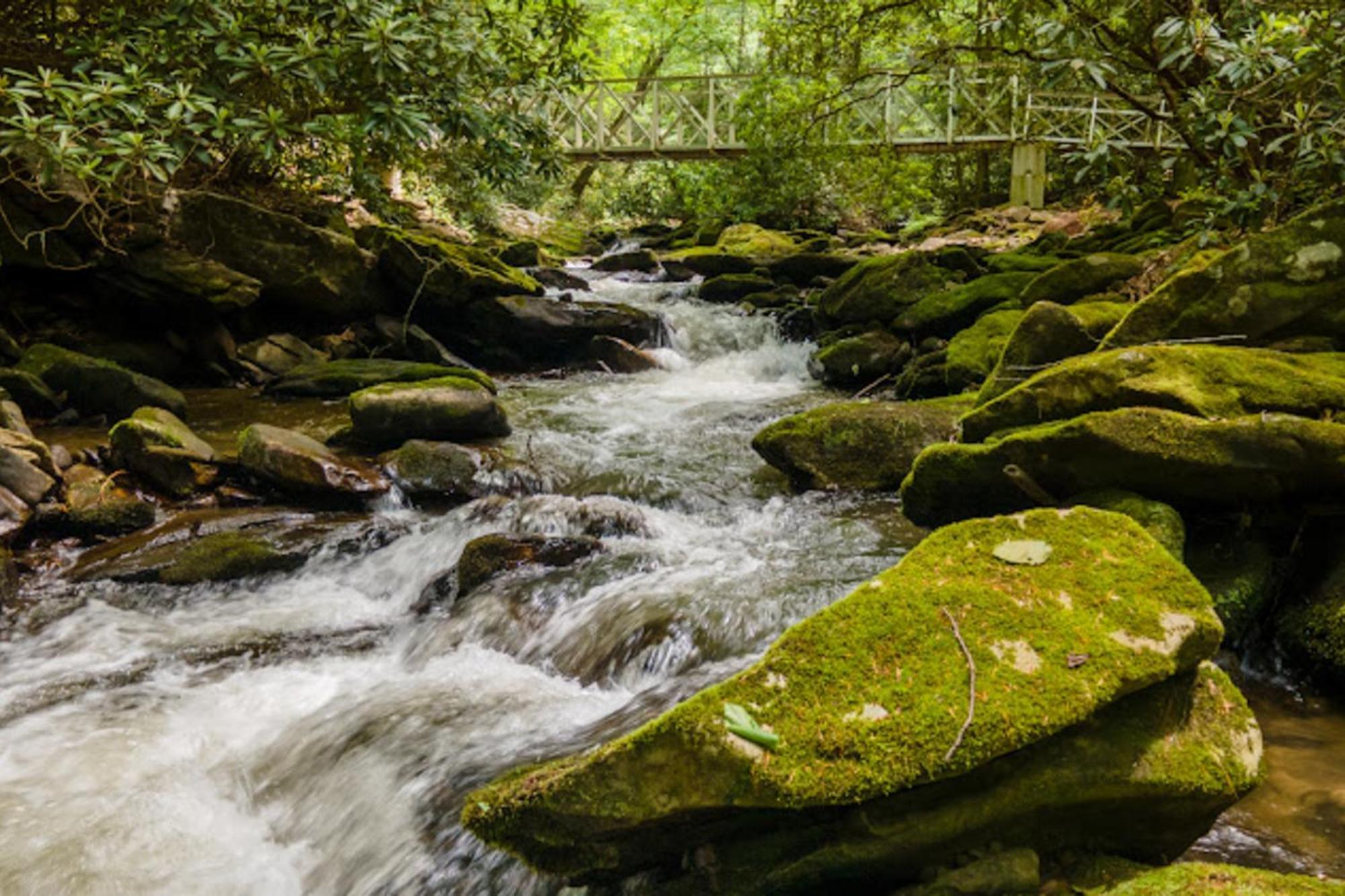 Creel Lodge At Middle Creek Otto Luaran gambar